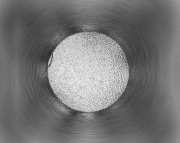 X0000077990478200611251416
