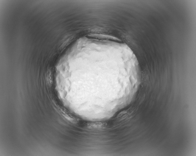 X0000077990479200611251416