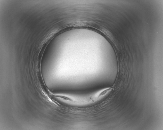 X0000077990485200611251415