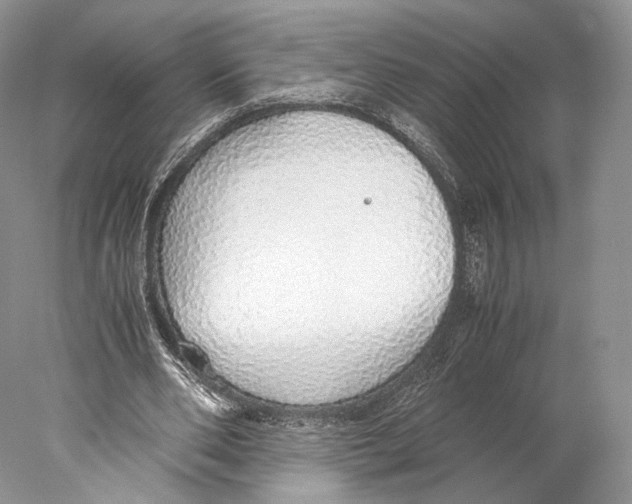 X0000077990486200611251415