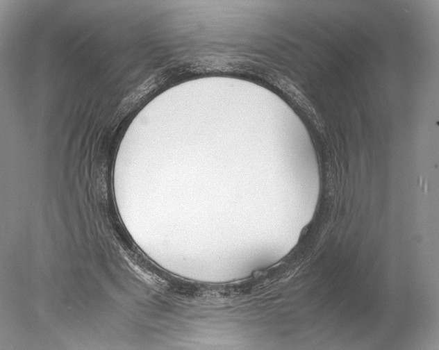 X0000077990489200611251415