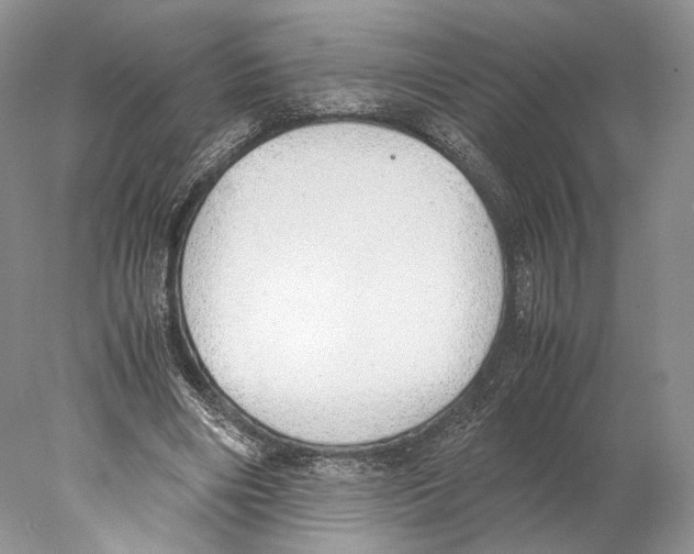X0000077990490200611251415