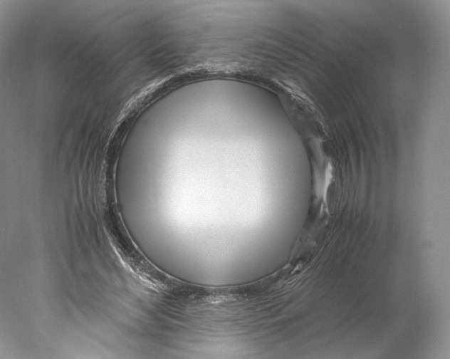 X0000077990492200611251415
