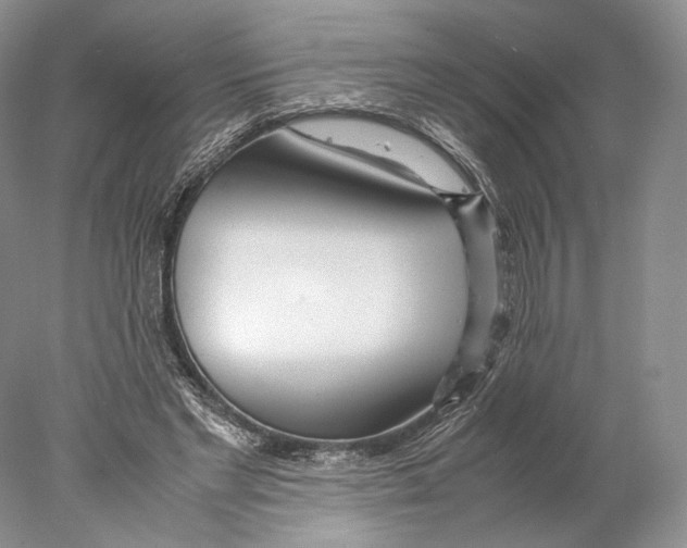 X0000077990493200611251415