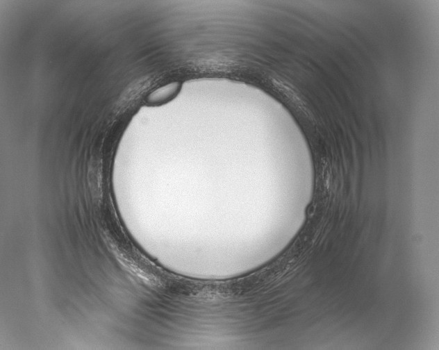 X0000077990494200611251415