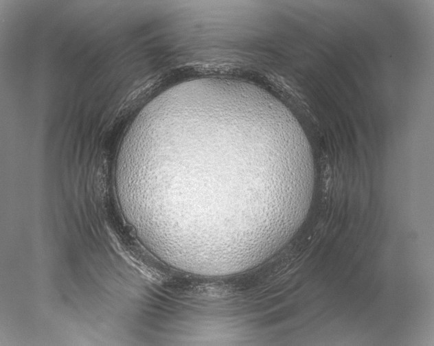 X0000077990498200611251415
