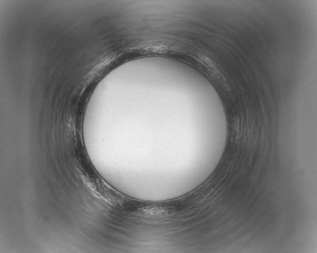 X0000077990500200611251415