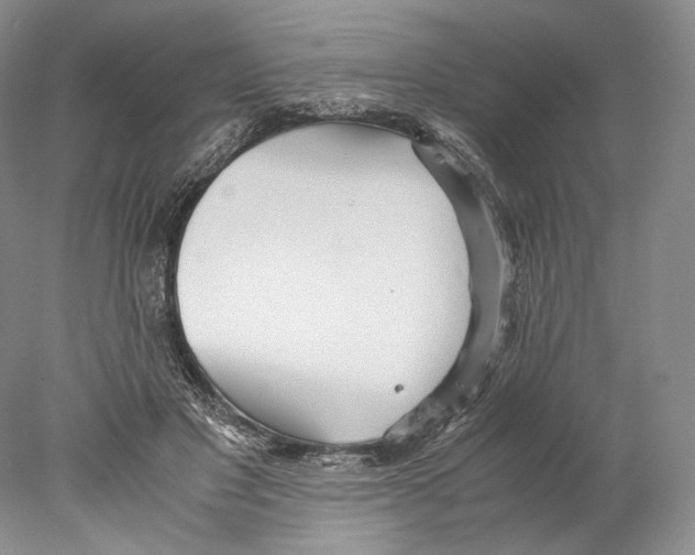 X0000077990501200611251415