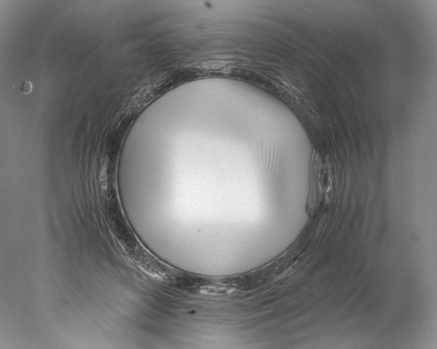X0000077990504200611251415