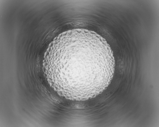 X0000077990506200611251415