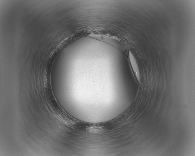 X0000077990508200611251415
