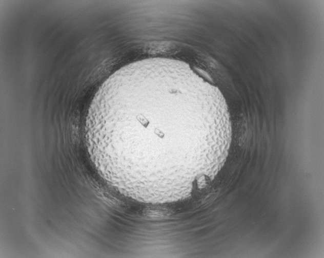 X0000077990510200611251415