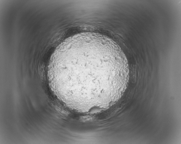 X0000077990511200611251415