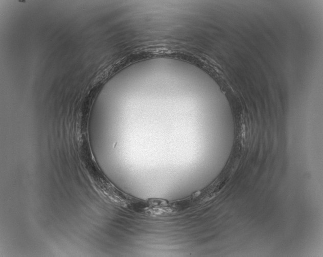 X0000077990512200611251415