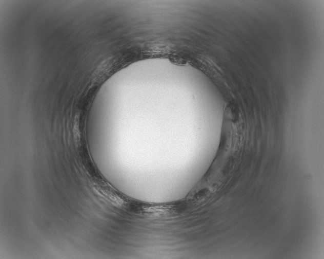 X0000077990516200611251415