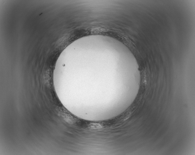 X0000077990519200611251415