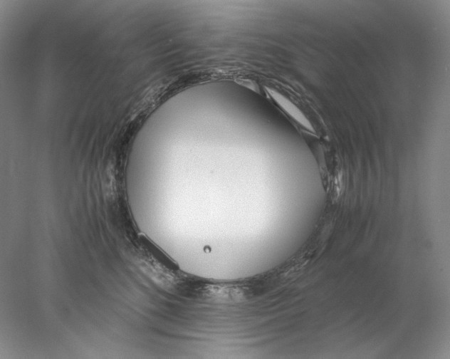 X0000077990520200611251415