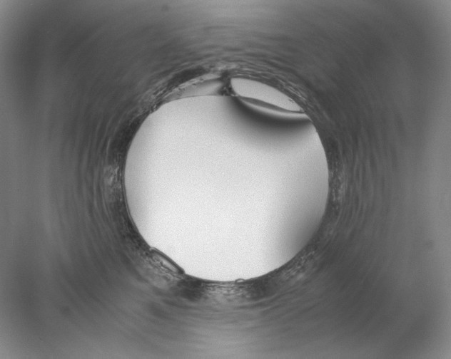 X0000077990521200611251415