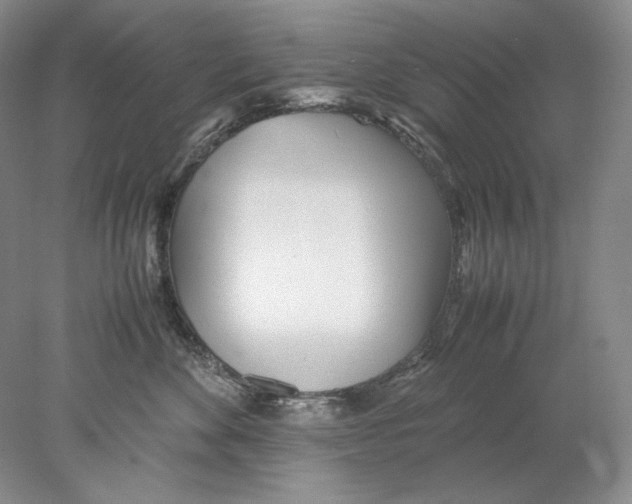 X0000077990524200611251414