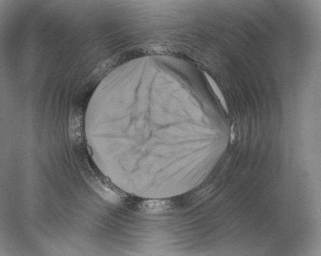 X0000077990526200611251414