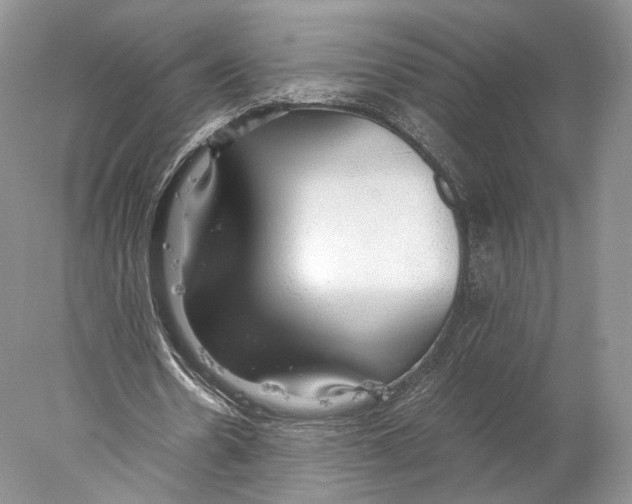 X0000077990530200611251414
