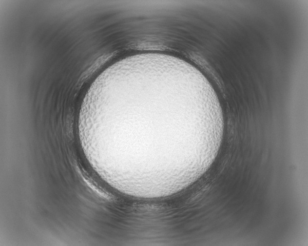 X0000077990533200611251414