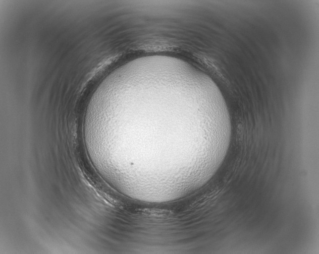 X0000077990539200611251414