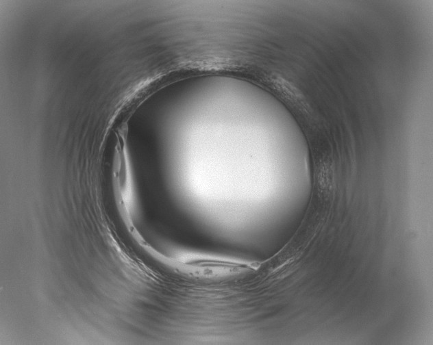 X0000077990540200611251414