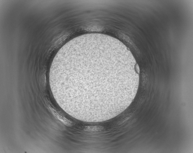 X0000077990541200611251414