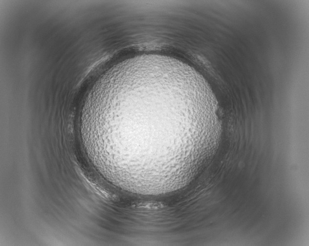 X0000077990543200611251414