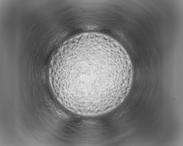 X0000077990545200611251414
