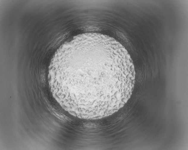 X0000077990549200611251414