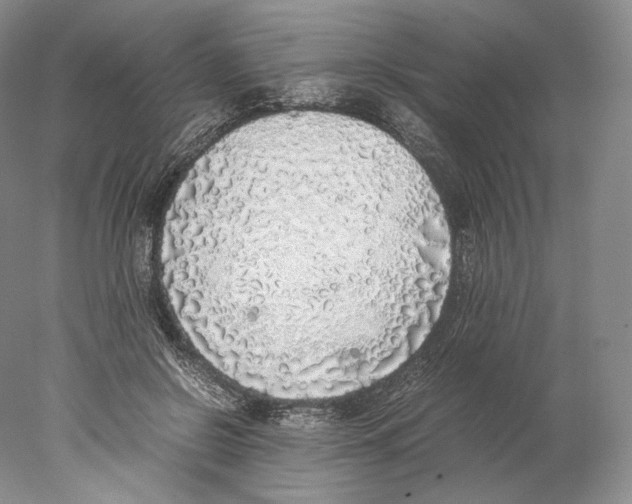 X0000077990550200611251414