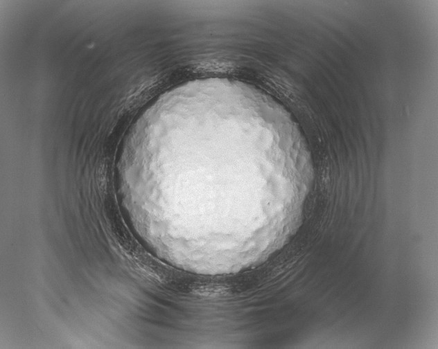 X0000077990551200611251414