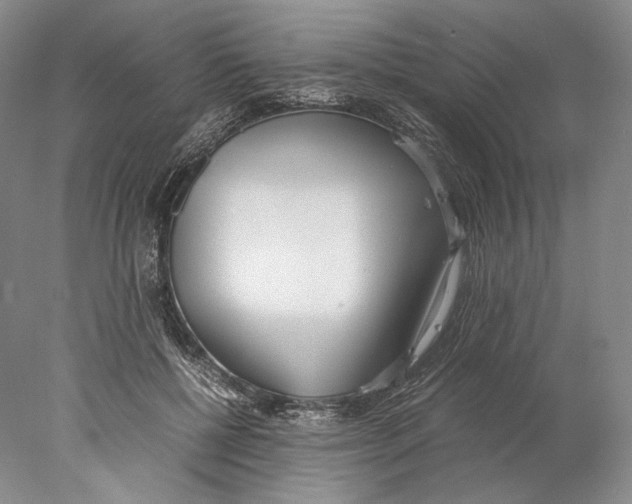 X0000077990552200611251414