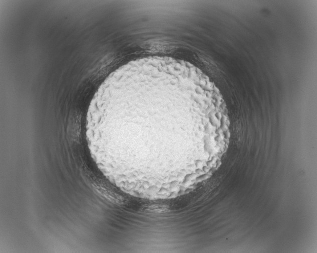 X0000077990554200611251414