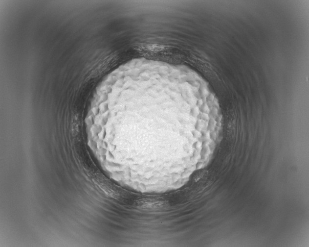 X0000077990555200611251414
