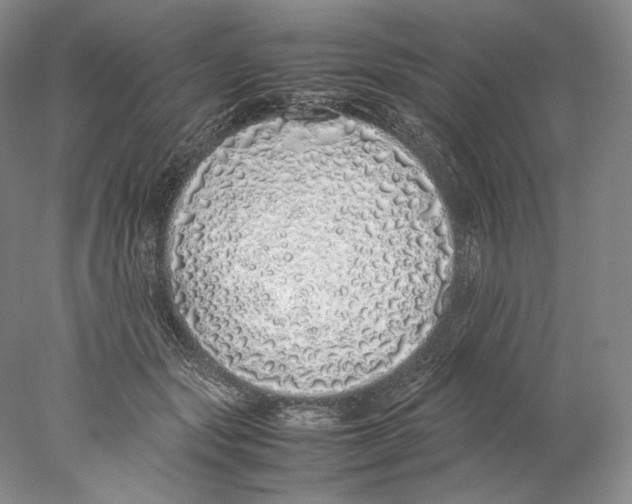 X0000077990557200611251414