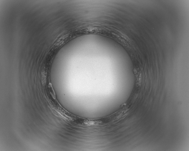 X0000077990558200611251414