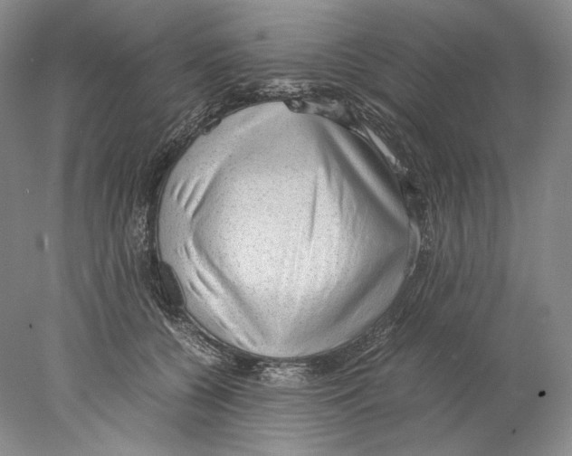 X0000077990560200611251414