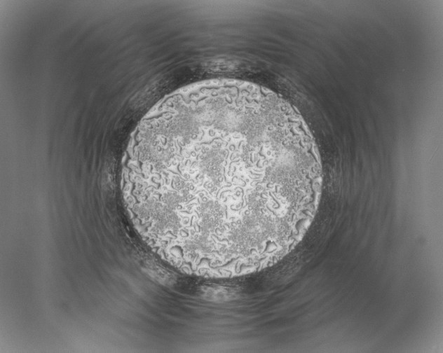 X0000077990561200611251414