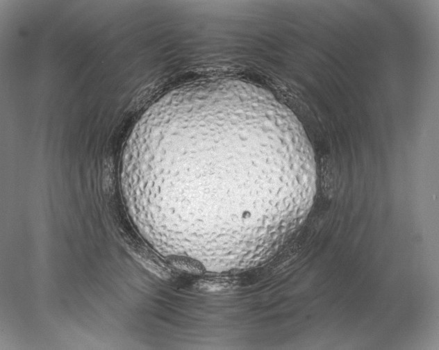 X0000077990563200611251414