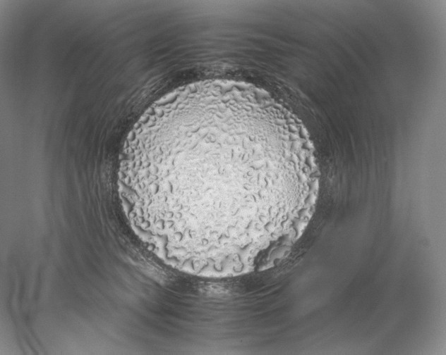 X0000077990565200611251414