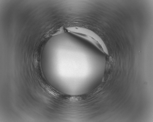 X0000077990566200611251414