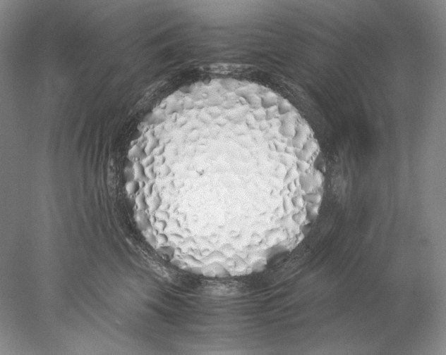 X0000077990569200611251414