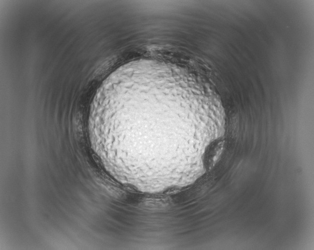X0000077990571200611251414