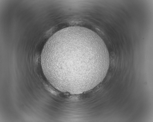 X0000077990574200611251414