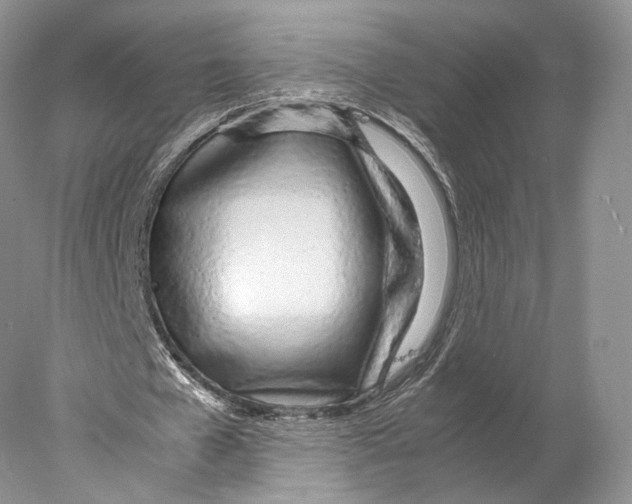 X0000077990577200611251414