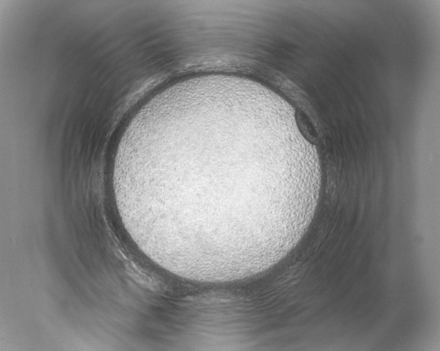 X0000077990578200611251414