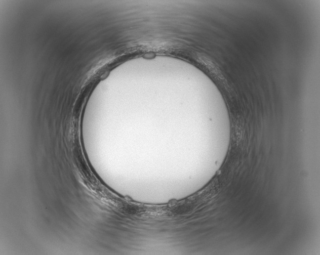 X0000077990583200611251413